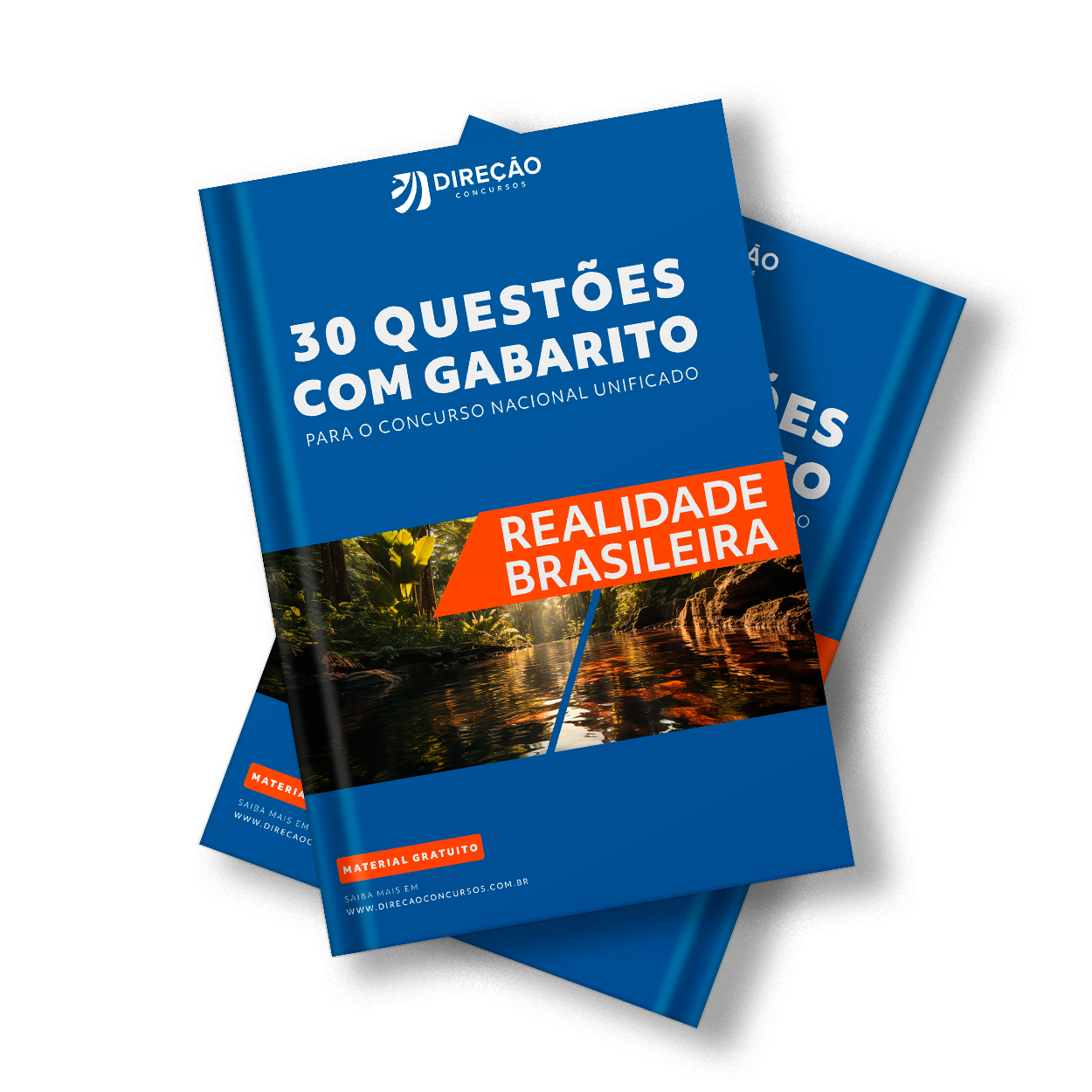 Realidade Brasileira - 30 Questões